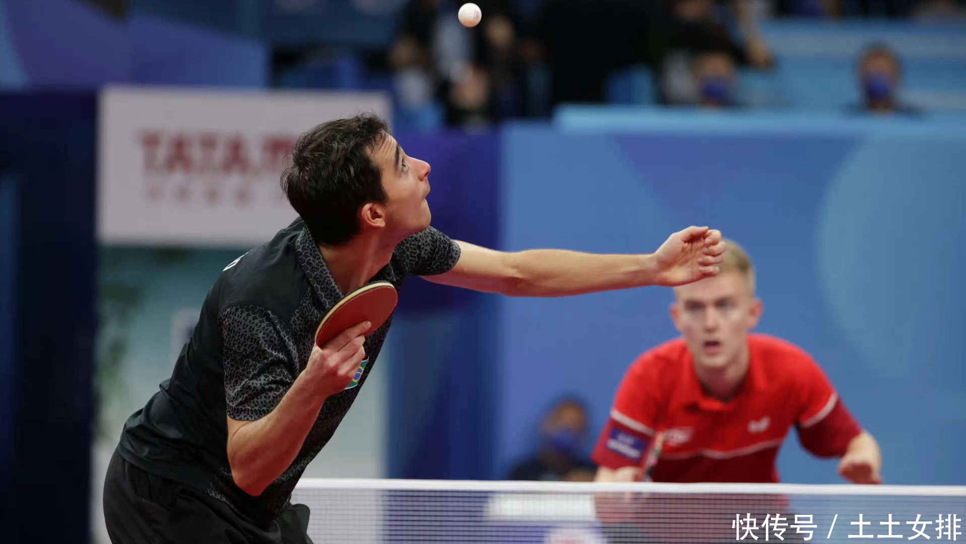 再次证明了 再次证明了