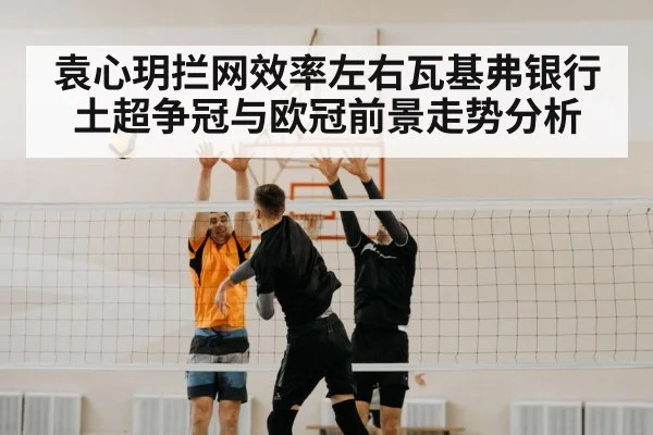 volleyball block(BSPORTS)