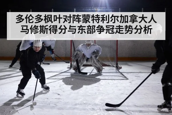 ice hockey game action（BSPORTS）